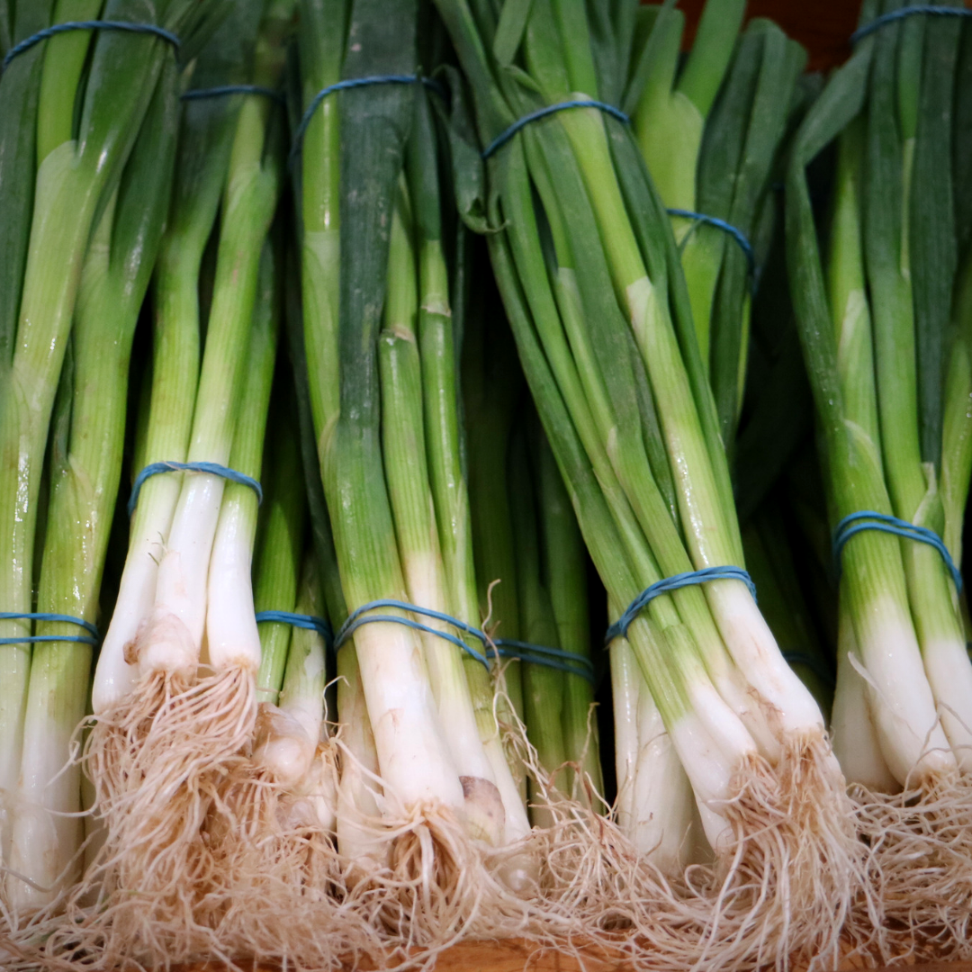 Adraj Union Green Onions