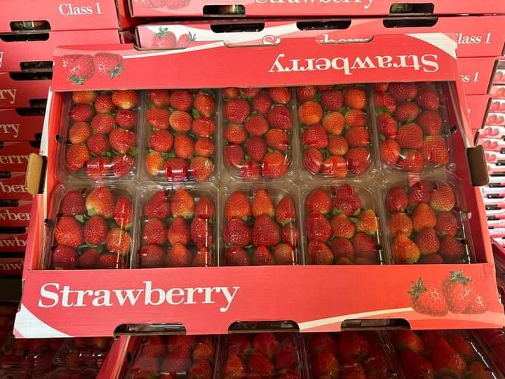 Adraj Union  Strawberries