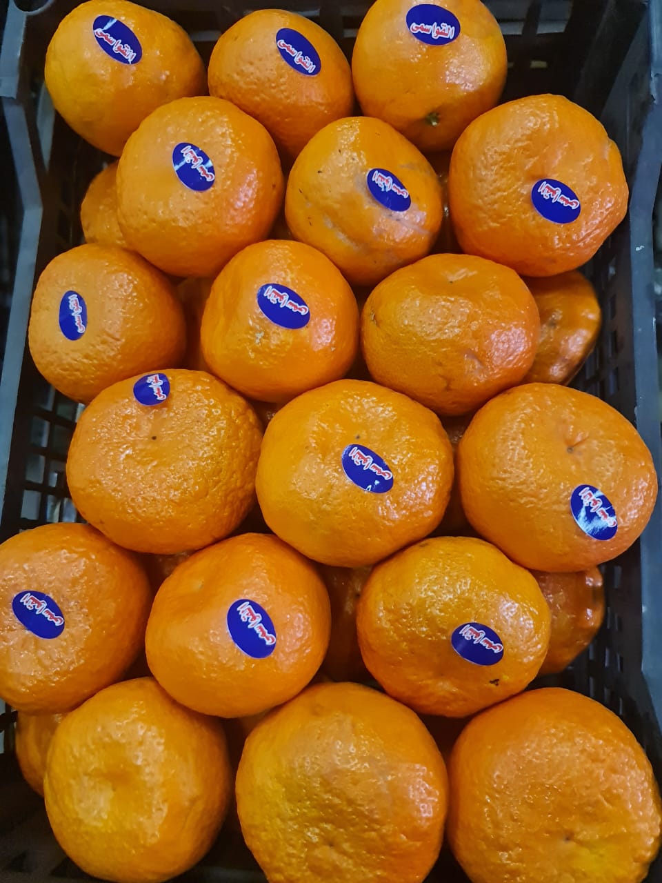 Mandarin