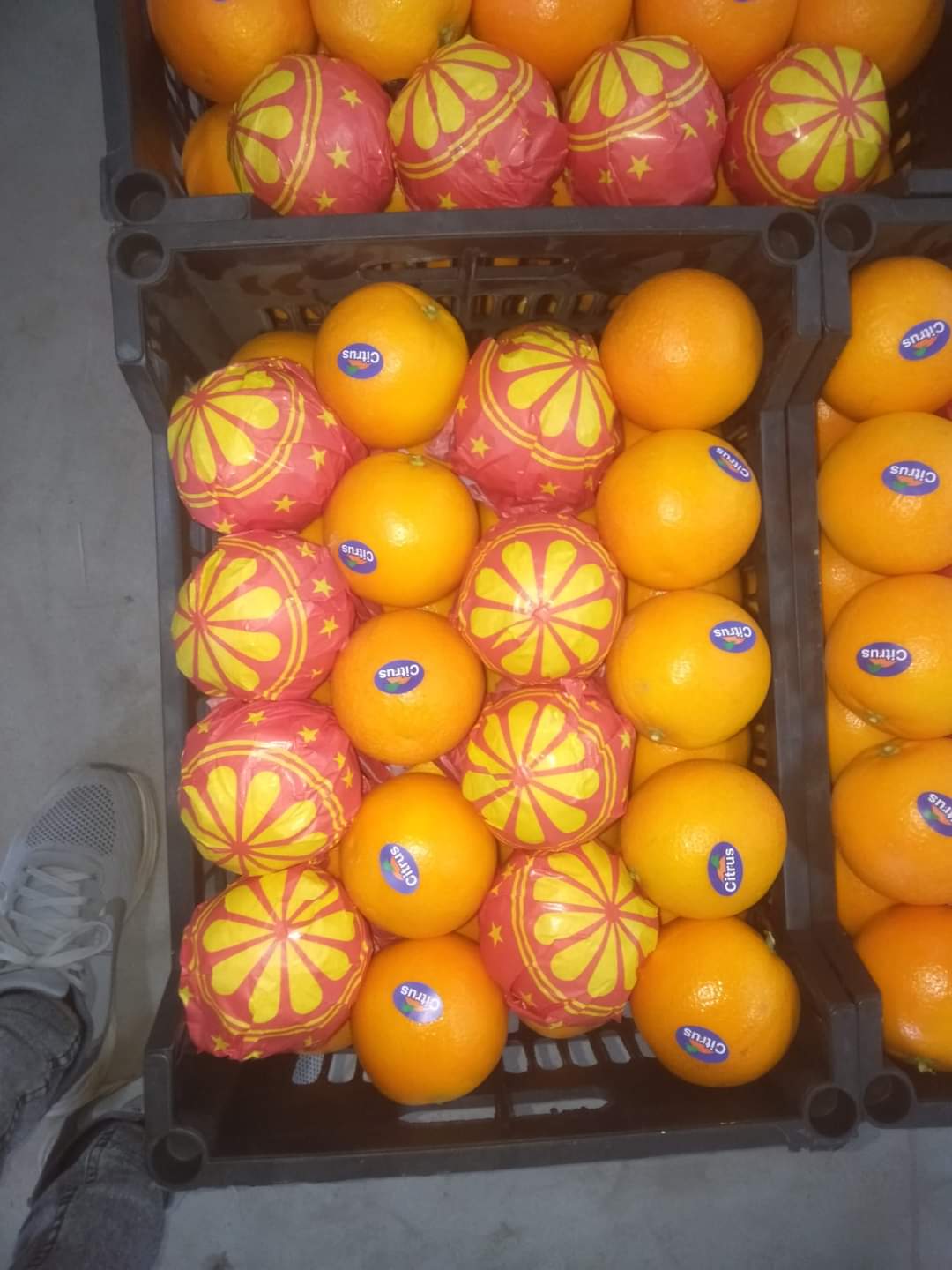 Adraj Union Oranges